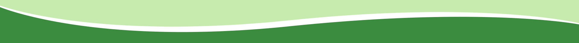 Footer
